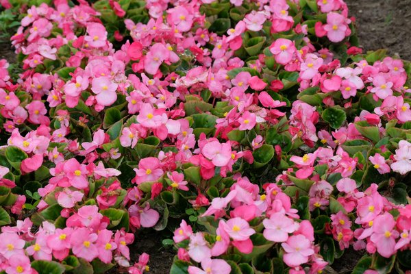 Et si vous transformiez votre maison en maison luxueuse ?